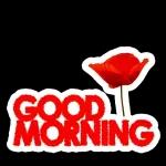 You are my first one