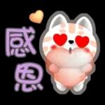 肉圓咪-好用生活貼