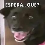 te ganaste un putazo