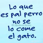 frases