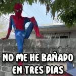 yo soy spiterman🕷️