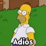 Me partiste el corazon