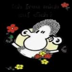 Hab dich so liebe❤️