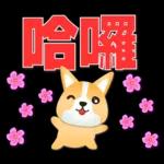 可愛柯基- 實用日常用語