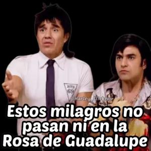 uD23rW
