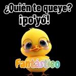 Me gritaste