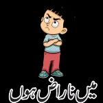 naseer