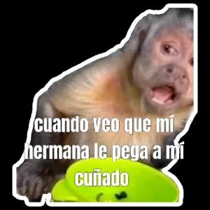 cXbOXF