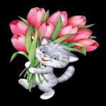 Guten Morgen mein Freunde