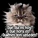 PA EL DESMADRE 