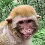 funny