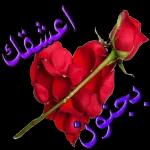 اعشقكبجنون
