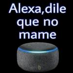 md a