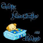 Heute Abend gehören die Sterne dir🌟