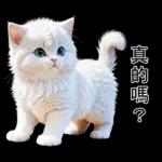 白色的貓尤其可愛