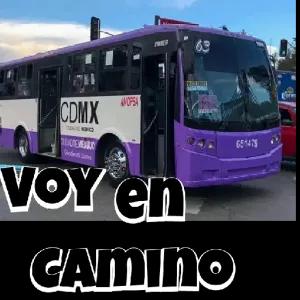 CDMX CUDADE ECO CLADREMENICO ANOPSA DONNER 63 STICKEHOTE HUAWE CORNE DOMENY 651479 VOY en CAMINO - getsticker.com