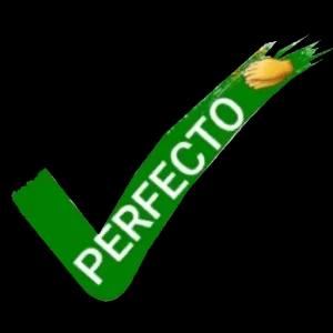 jDg6qL