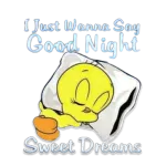 Good Night