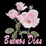 mil bendiciones