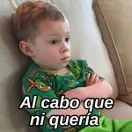 bebes