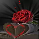 جديد