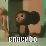 мои стикеры