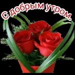 с добрым утром 🌞😘🌞