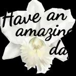 an Have amazing day