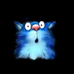 Blue Cats
                            Rina Zenyuk