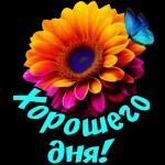 добрый день