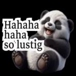 süße Panda❤️😍
