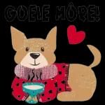 Goeie
Môre!
SAST
