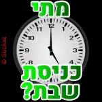 רועי 2