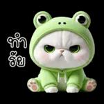 ข้าวต้ม ชุดกบ หน้าบูด