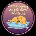Gute Nacht bis Morgen💖