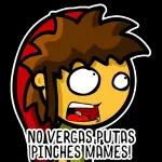 NO VERGAS PUTAS PINCHES MAMES!