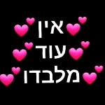 חג פסח שמח 🩷
