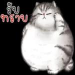 คุณกอดฉันหน่อยได้ไหม🥺