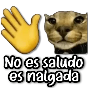 xkaeo8s