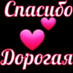 My Pack 4