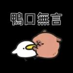 小水豚（諧音梗篇）
