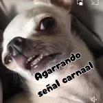 Agarrando señal