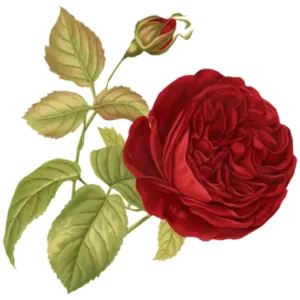 getsticker.com