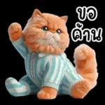 แมวขี้โมโหในชุดนอนสีอ่อน