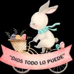 buenas noches