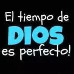 My Pack 676 Pack 676