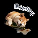 醉酒柴柴✩一醉方休