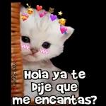 pelon