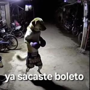 ya sacaste boleto - getsticker.com