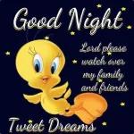 Good Night.
Lord please
watch over
my family
and friends
Tweet Dreams